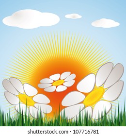Flowers, grass and clouds against the blue sky
