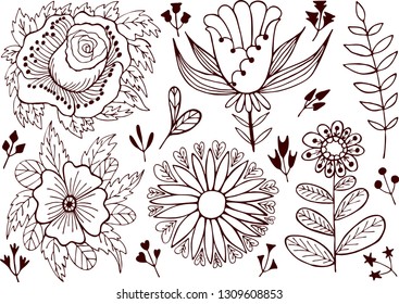 Flowers grass contour brown vector illustration set hand drawing