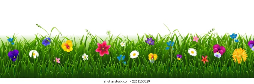 Flowers And Grass Frame Isolated White Background With Gradient Mesh, Vector Illustration