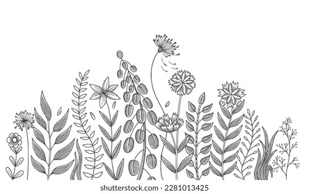  flowers, grass and herbs isolated on white background. Hand drawn sketch engraving style