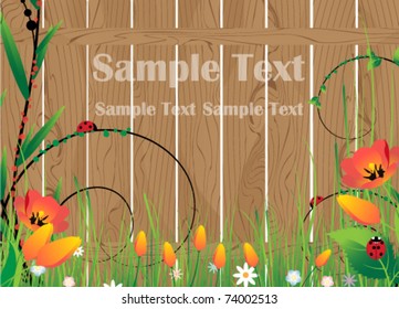 Flowers, grass and insects against a wooden fence