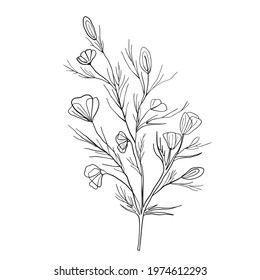 Flowers with grass linear pattern. Elongated grass with rounded flowers. Black and white graphic drawing is a great composition for an interior. Vector graphics 