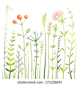 Flowers and Grass on White Grassland Collection. Rustic colorful meadow growth illustration set. Vector EPS10.