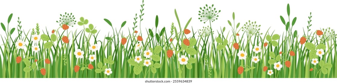 Flowers and grass seamless border, meadow flowers and wild strawberries, vector illustration, card decoration element