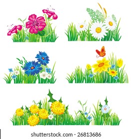 Flowers and grass. Vector illustration