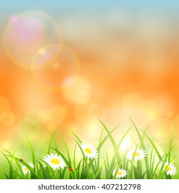 Flowers and grass with water drops against the morning sky and the rising sun, illustration.