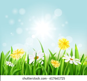 Flowers grow on a meadow in the spring. Natural background vector illustration