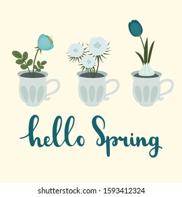 Flowers growing in cups with hand lettering in Spanish "hello Spring". Vector illustration