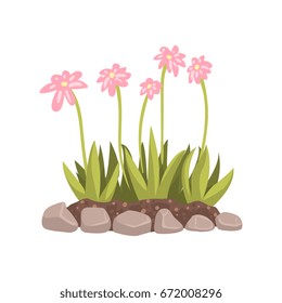 Flowers growing in the flowerbed cartoon vector Illustration