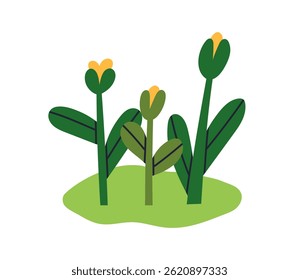 Flores crescendo na natureza. Florescer com folhas, florescendo o crescimento da planta na grama. Fresco primavera e verão flora jardim, botões florais, flores silvestres. Ilustração de vetor plano isolada no plano de fundo branco