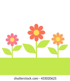 Flowers growing on meadow. Vector illustration