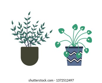 Flowers growing in pots vector, isolated set of flowerpots decorated with stripes and zig zags, orangery with foliage and botanic variety of houseplants