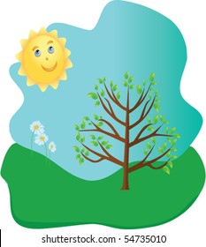 Flowers growing under the sun