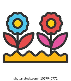 Flowers grown in a row, horticulture and gardening concept