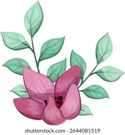 Flowers Half Bloom and Weeds Leaves Oblong