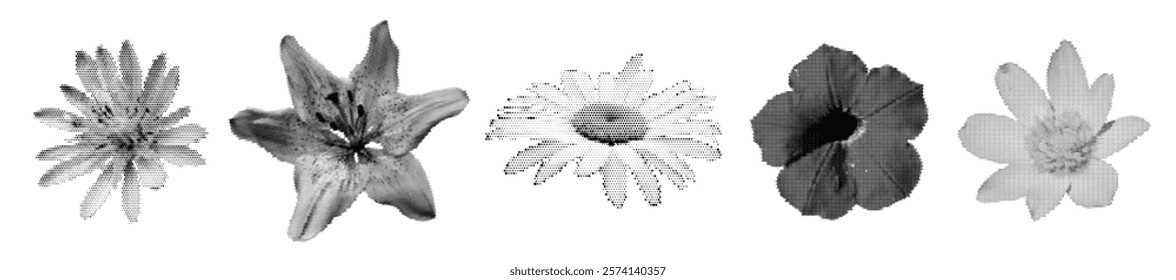 Flowers halftone dotted cutout flowers set collage. Vector realistic textured daisy, lily stickers for trendy y2k retro design