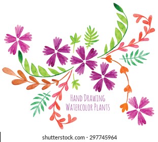 Flowers hand drawing painted in watercolor on white paper. Sketch of flowers and herbs. Wreath, garland of flowers