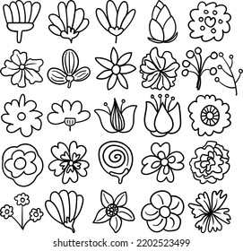 Flowers Hand Drawn Doodle Line Art Outline Set Containing flower, flowers, blossom, flora, bloom, baby tooth, herb, perennial, vine, annual, bud, cluster, efflorescence, floret, floweret, head