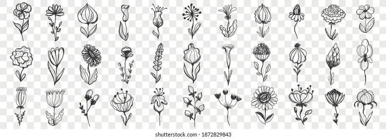 Flowers hand drawn doodle set