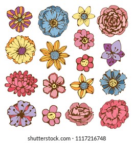 Flowers hand drawn set. Isolated on white background