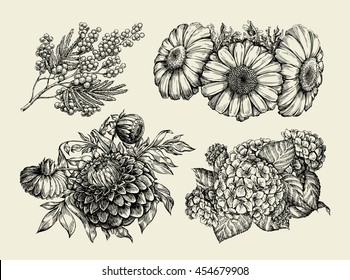 Flowers. Hand drawn sketch of chamomile, mimosa, hortensia, dahlia. Vector illustration
