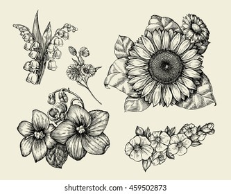Sunflower Drawing Tattoo