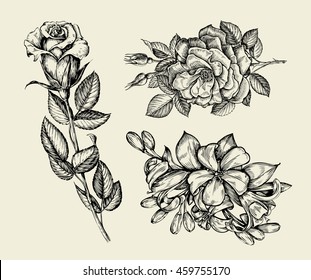 Flowers. Hand drawn sketch flower, rose, floral pattern. Vector illustration