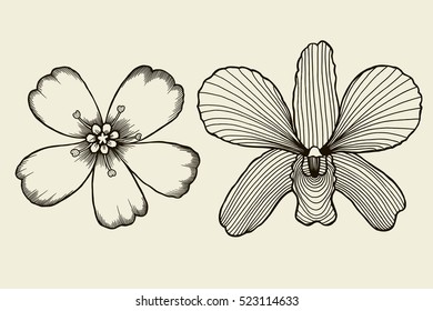 Flowers. Hand drawn sketch flowers, rose, floral pattern Vector illustration