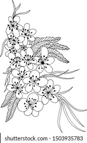 Flowers Hand Drawn Vector Illustration Design Art