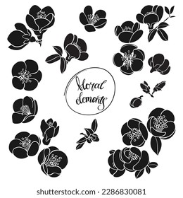 Flores. Ilustración vectorial dibujada a mano sobre blanco. Siluetas negras. Elementos aislados. Perfecto para invitaciones, tarjetas de felicitación y como elemento de diseño.  