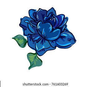 Flowers, Hand Drawn Vector Rose