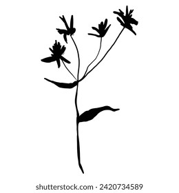 flowers hand drawn vector set. Ink drawing wild flowers, brush painted herbs. Floral drawings collection. Artistic botanical elements.

