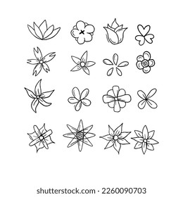 vector de ilustraciones del doodle de la mano de flores