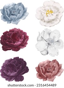 Las flores tienen una amplia gama de usos, incluyendo fines ornamentales, regalos, decoración en diversas ceremonias y celebraciones, así como para aplicaciones medicinales, culinarias y hortícolas. 