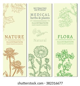 Flowers and herb template banner hand drawn vintage sketch vector illustration 