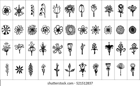 Flowers and herbs drawn by hand pencil. It can be used to design your goods, for example in cosmetics