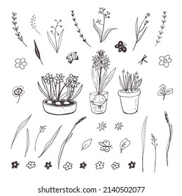 conjunto de ilustraciones de líneas vectoriales de flores y hierbas