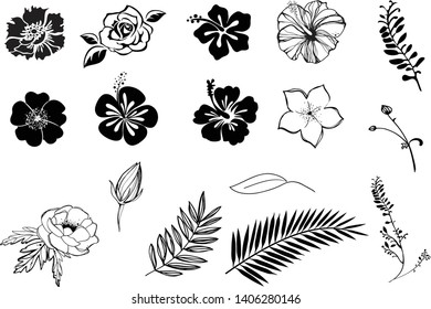 Flowers hibiscus, frangipani, rose, anemone silhouettes black and white