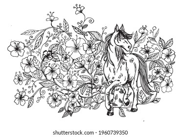 Flores y dibujo vectorial de caballos