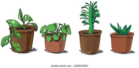 flowers house set plant pilea monstera Euphorbia dulcis sansiviery in a flowerpot linedrawing isolated on white background 