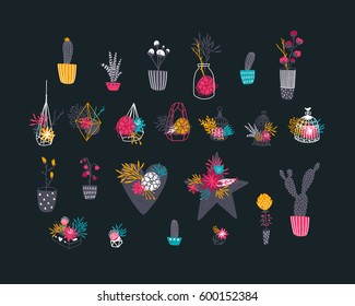 Flowers, houseplants and geometric centerpieces, vector floral set. Spring bundle with succulents, cage, branches, cactus, leafs, heart and star
