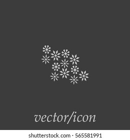 flowers, icon