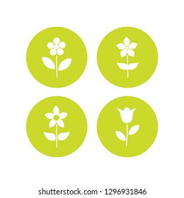 flowers icon in the circle vector