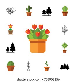Flowers icon set