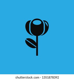 flowers icon vector