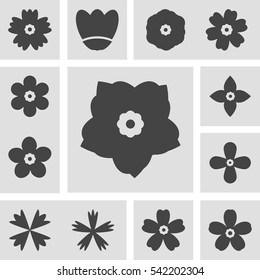 flowers icon vector design