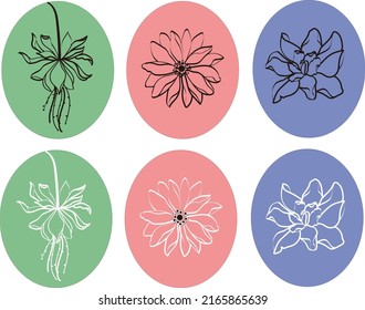 Flowers icon vector illustration set, flora symbol logo, garden sign collection.