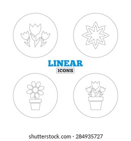Flowers icons. Bouquet of roses symbol. Flower with petals and leaves in a pot. Linear outline web icons. Vector