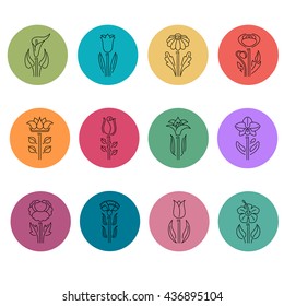 Flowers icons in colorful circles on white background. Flat design. Line style. Vector illustration.