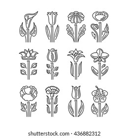 Flowers icons on white background. Flat design. Thin line style. Vector illustration.